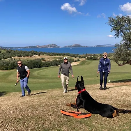 Ocean View 1111 Retreat