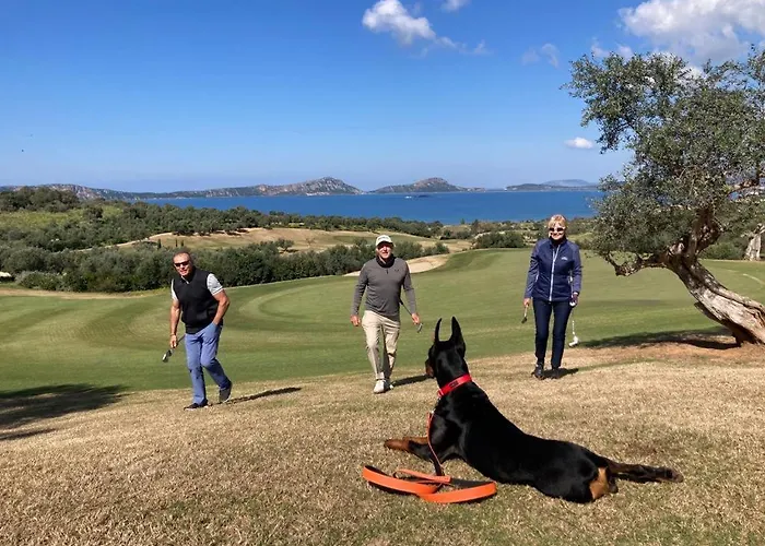 Ocean View 1111 Retreat